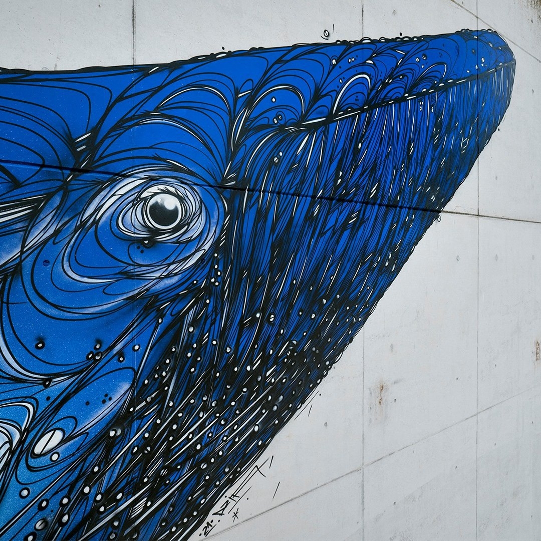 Dzia @ Ostend, Belgium