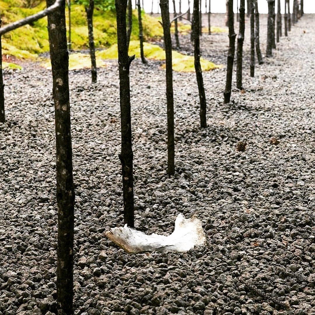 Invocation for Hope Anab Jain & Jon Ardern