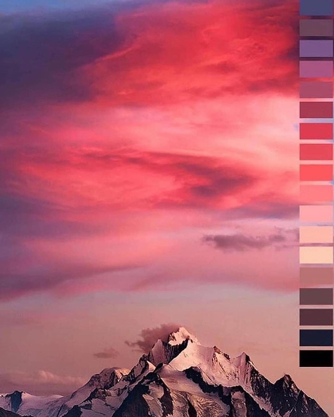 Natural color palettes by Jubilee