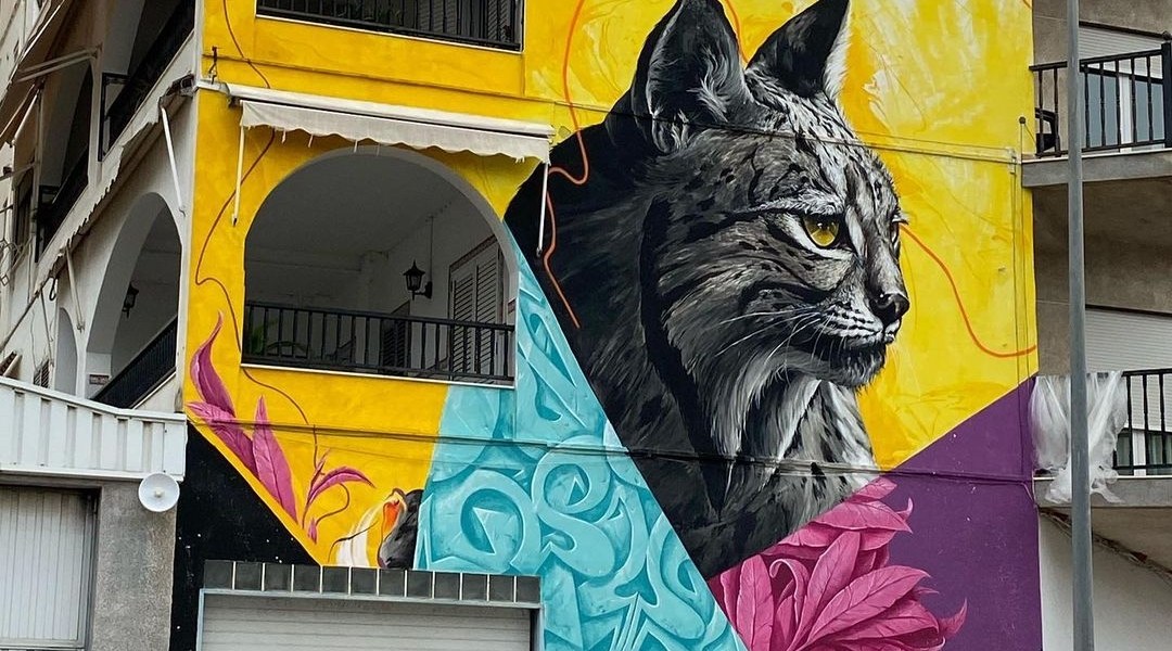 Kraser @ Alberic, Spain