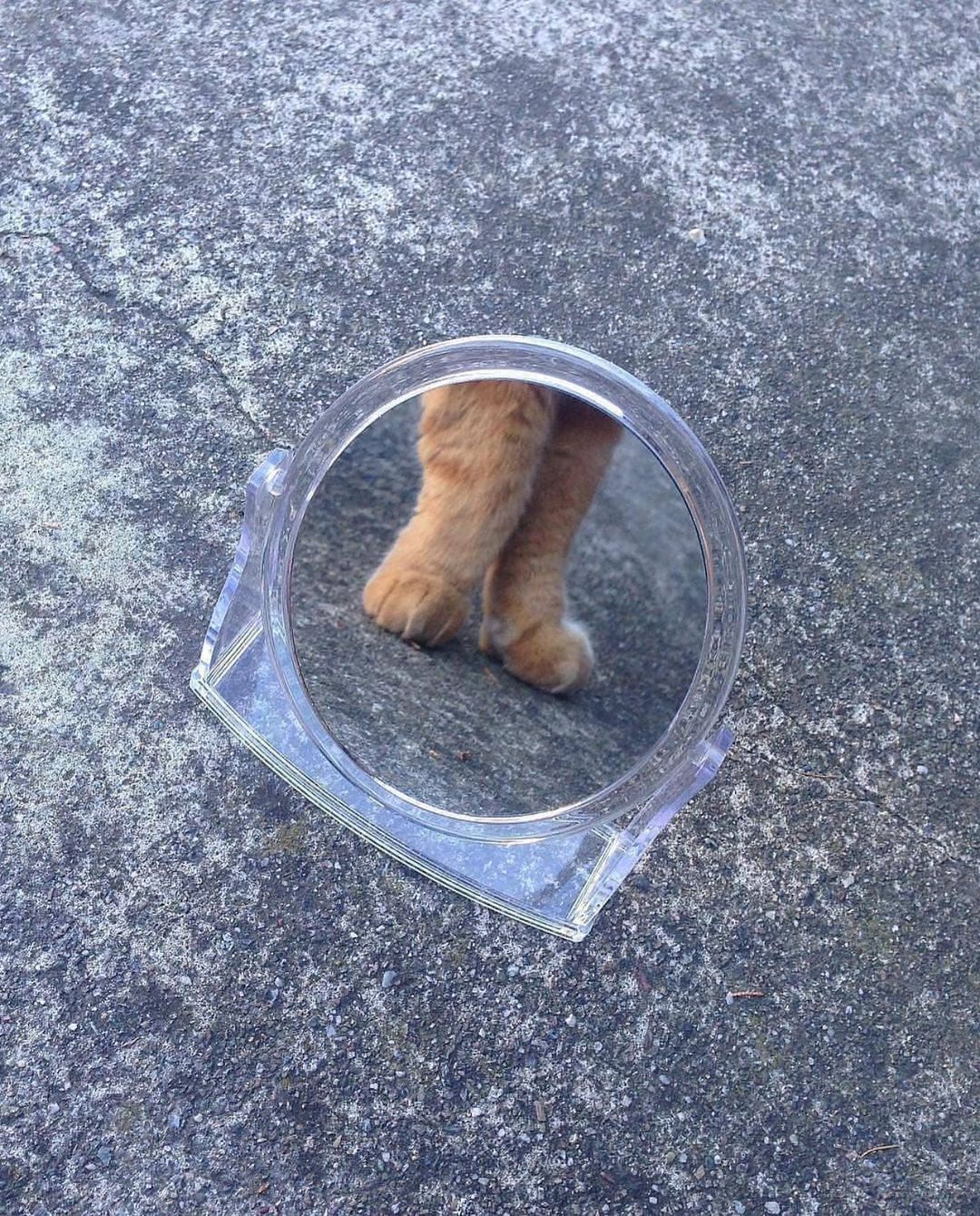 Artwork by Michele (Instagram: @michel_e_b)