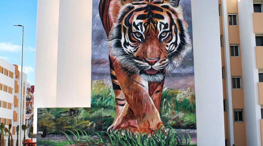 Mourad Rachendali @ Skhirat, Morocco