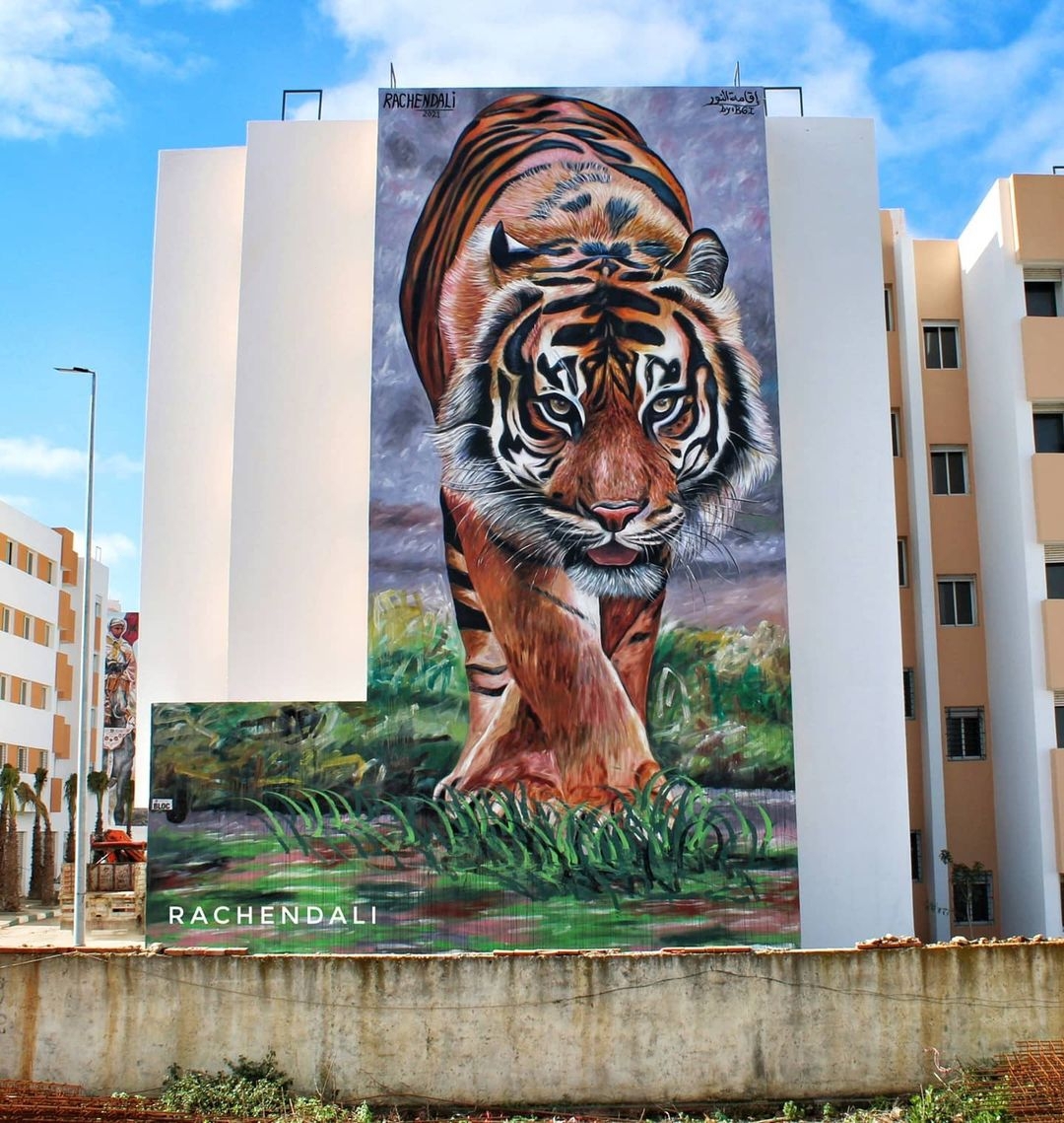 Mourad Rachendali @ Skhirat, Morocco