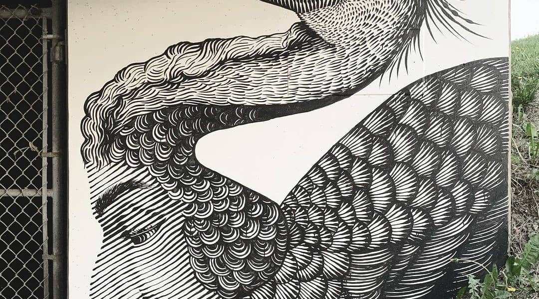 Nicolas Alfalfa + Lapupila999 @ Toronto, Canada