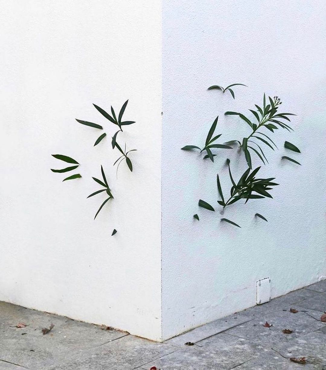 Untitled by Octavi Serra