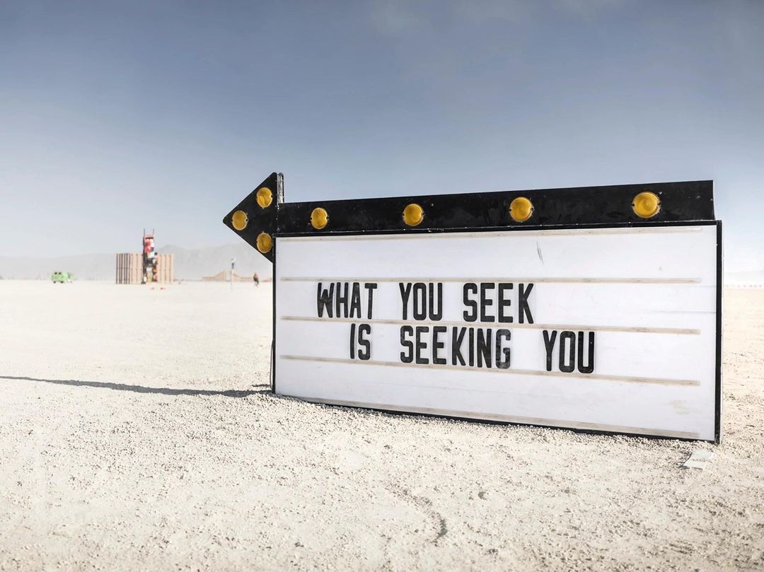 Public Displays of Awareness (2019) by Olivia Steel @ BurningMan (Photo by Scott London)
