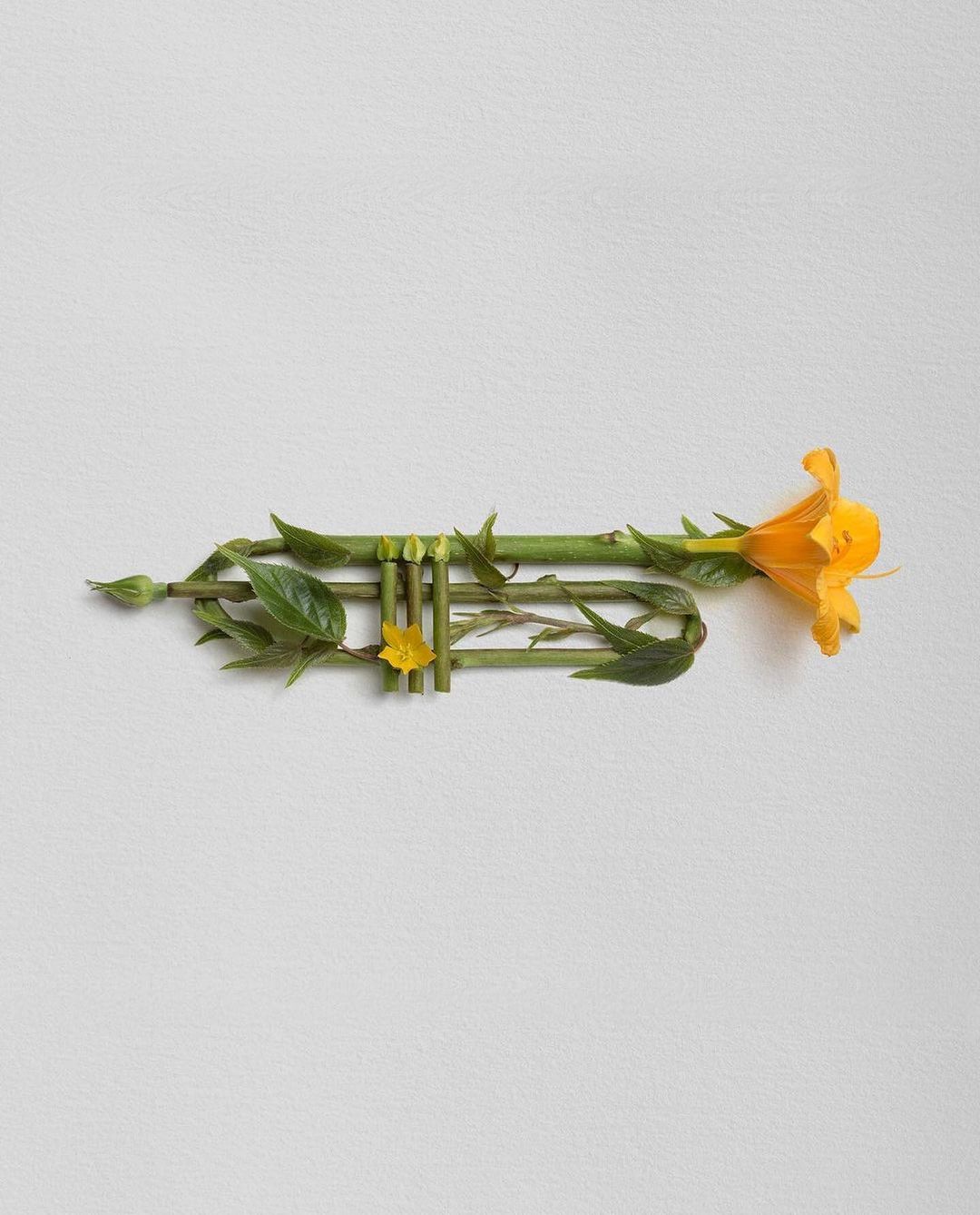 Trumpet by Raku Inoue. From series Garden Symphony