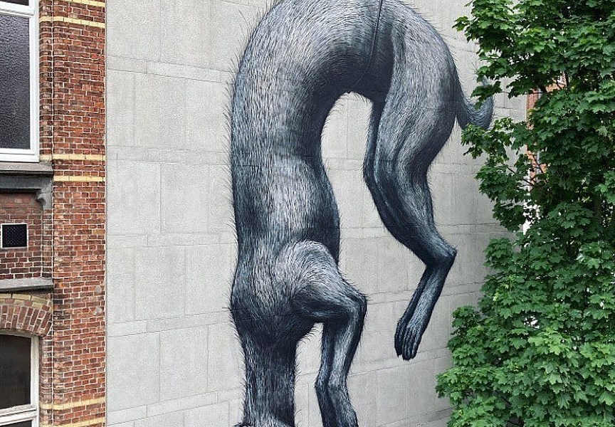 ROA @ Ghent, Belgium