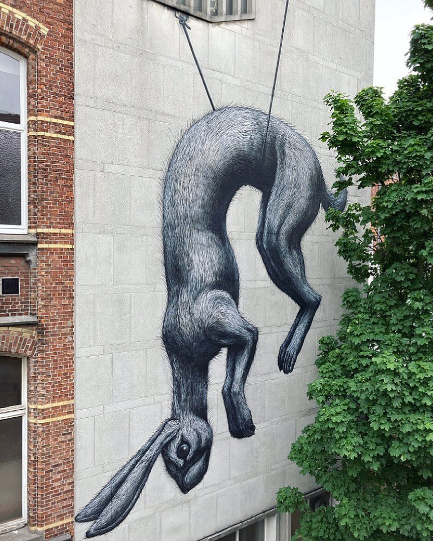 ROA @ Ghent, Belgium
