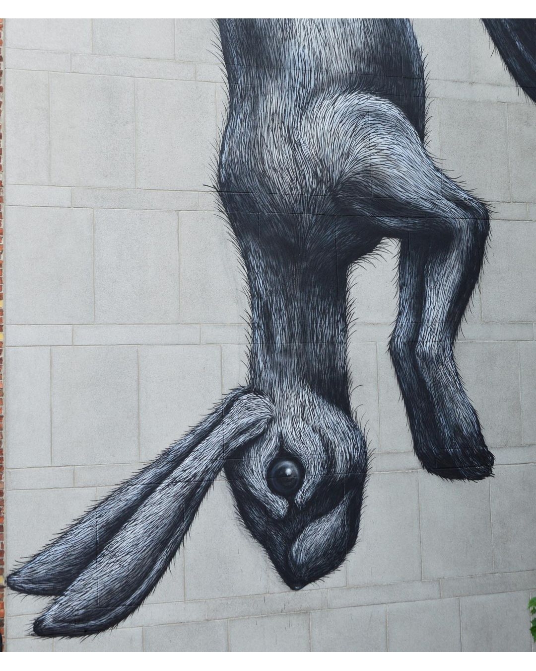 ROA @ Ghent, Belgium