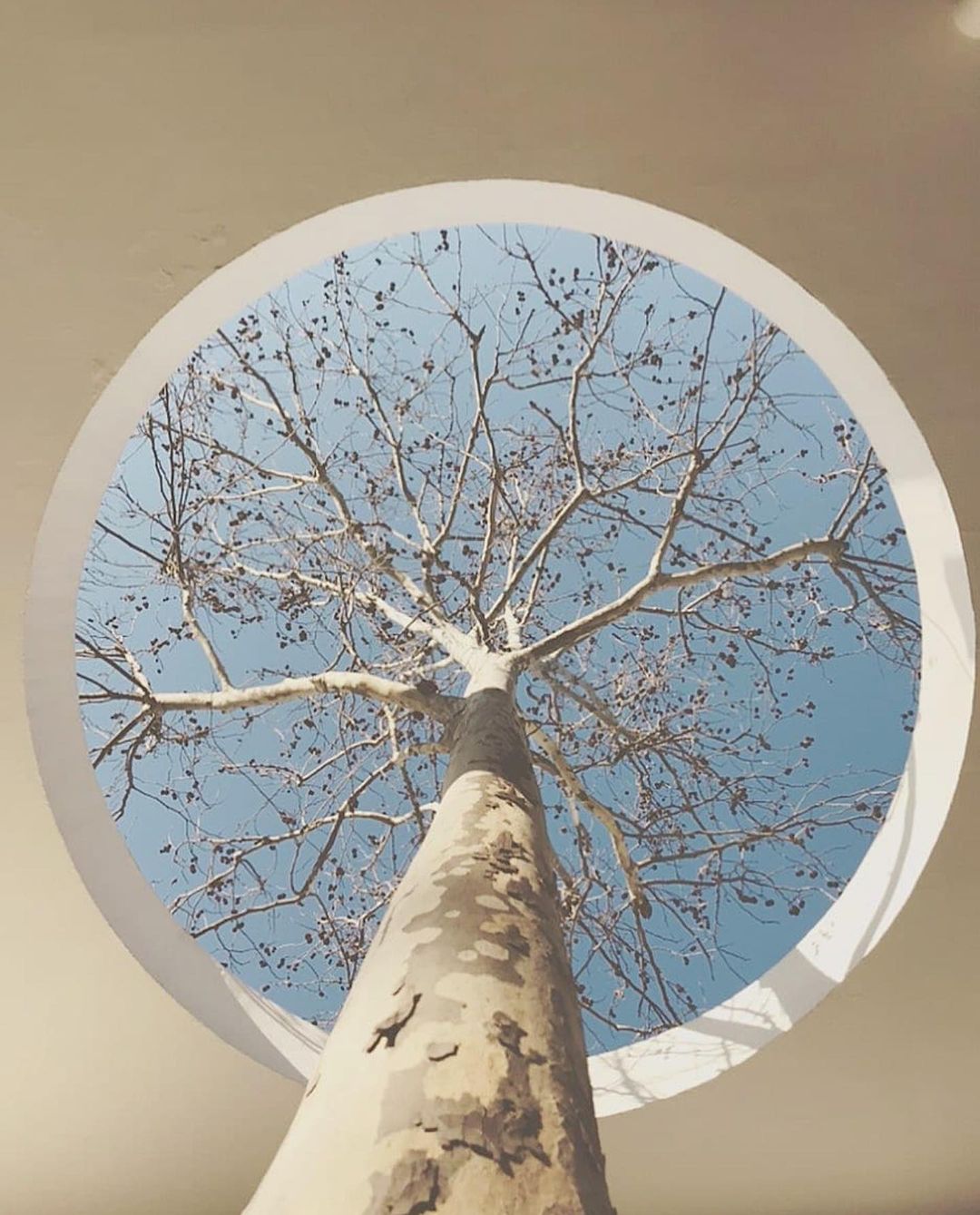 Photography by Matteo Carassale