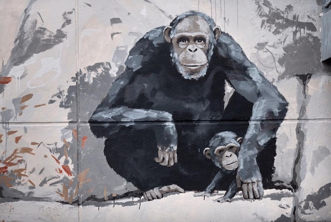 WAR! @ Vannes, France