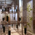 “BIT.BIO.BOT” di Claudia Pasquero e Marco Poletto alla Biennale Architettura 2021