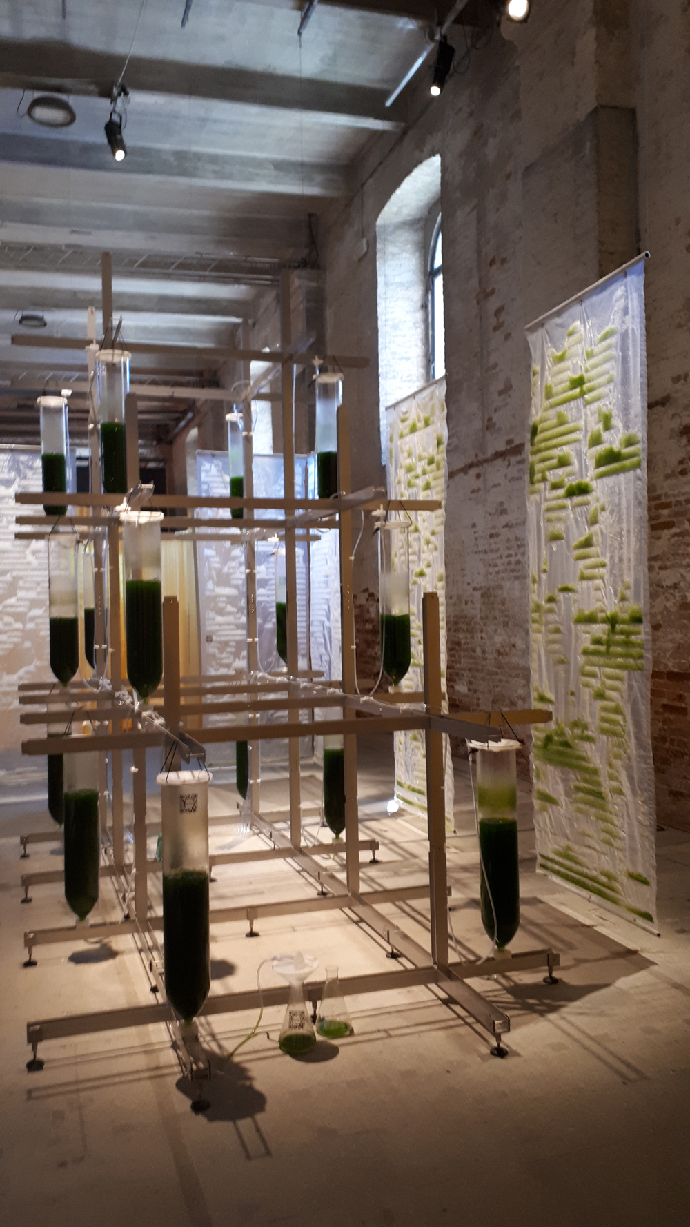 "BIT.BIO.BOT" di Claudia Pasquero e Marco Poletto alla Biennale Architettura 2021