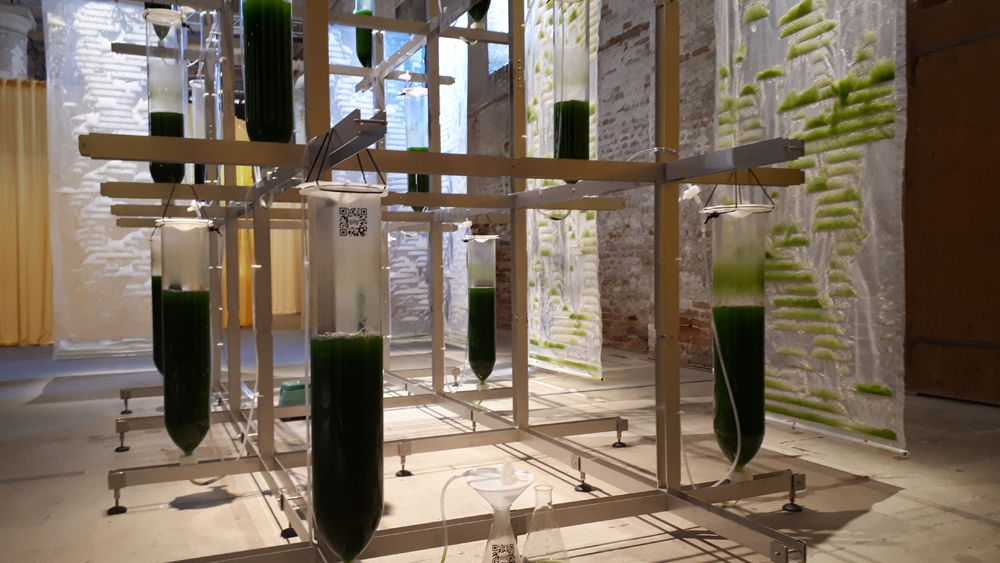 "BIT.BIO.BOT" di Claudia Pasquero e Marco Poletto alla Biennale Architettura 2021