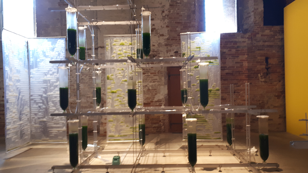 "BIT.BIO.BOT" di Claudia Pasquero e Marco Poletto alla Biennale Architettura 2021