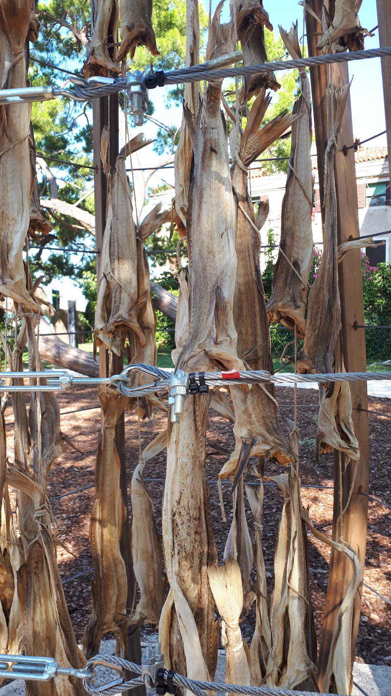 "Il primo cerchio del paradiso" di Bjørnådal Arkitektstudio ai Giardini di Marinaressa