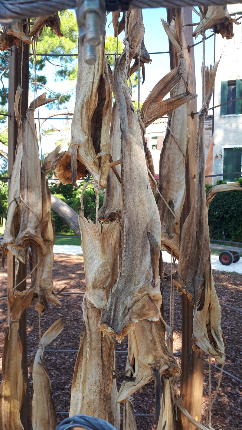 "Il primo cerchio del paradiso" di Bjørnådal Arkitektstudio ai Giardini di Marinaressa