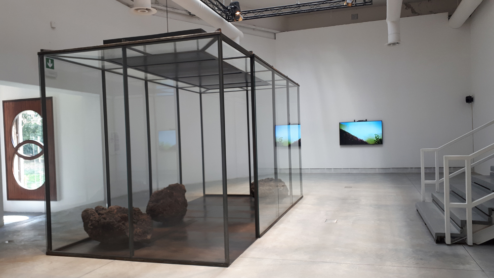 “Resurrecting the Sublime” di Sissel Tolaas, Christina Agapakis e Alexandra Daisy Ginsberg alla Biennale Architettura 2021