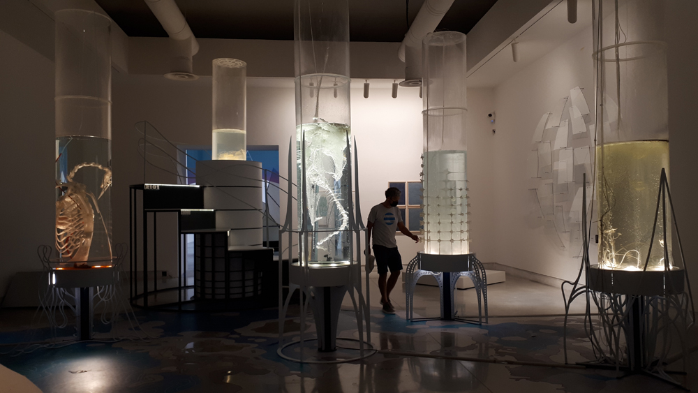 “Hollow Ocean” di Pinar Yoldas alla Biennale Architettura 2021