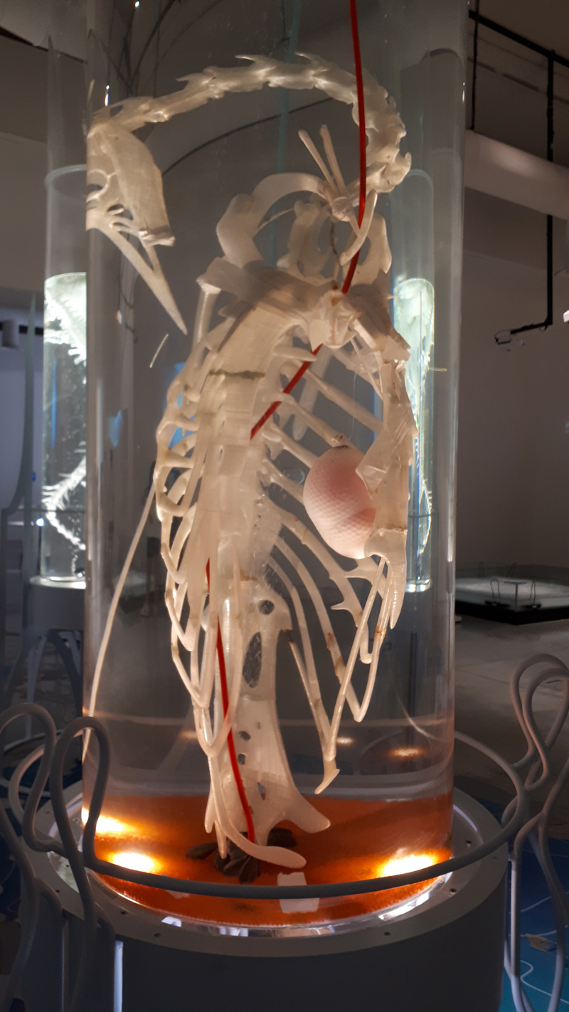 “Hollow Ocean” di Pinar Yoldas alla Biennale Architettura 2021