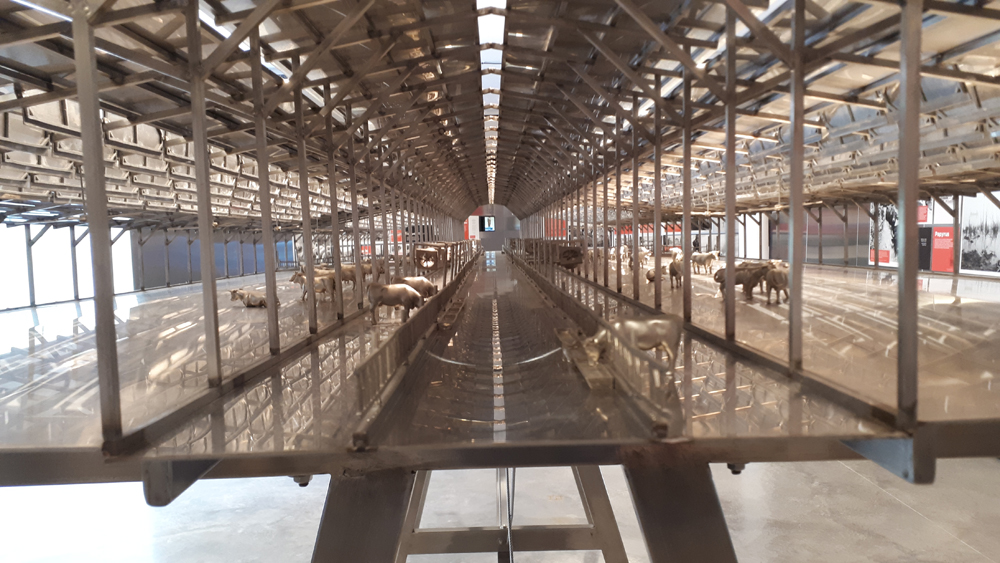 Padiglione Israele alla Biennale Architettura 2021