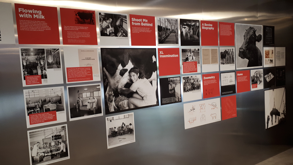 Padiglione Israele alla Biennale Architettura 2021