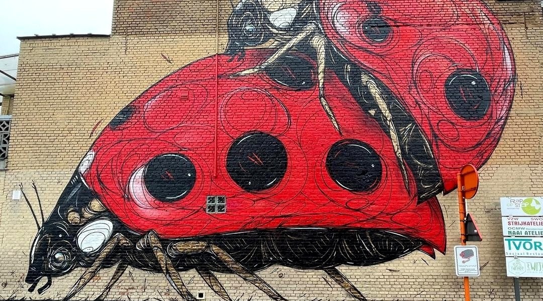 Dzia @ Dendermonde, Belgium