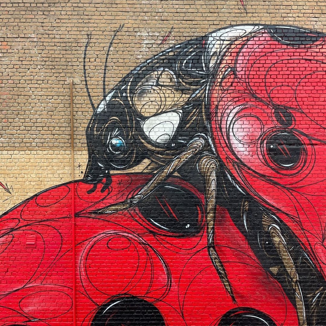 Dzia @ Dendermonde, Belgium