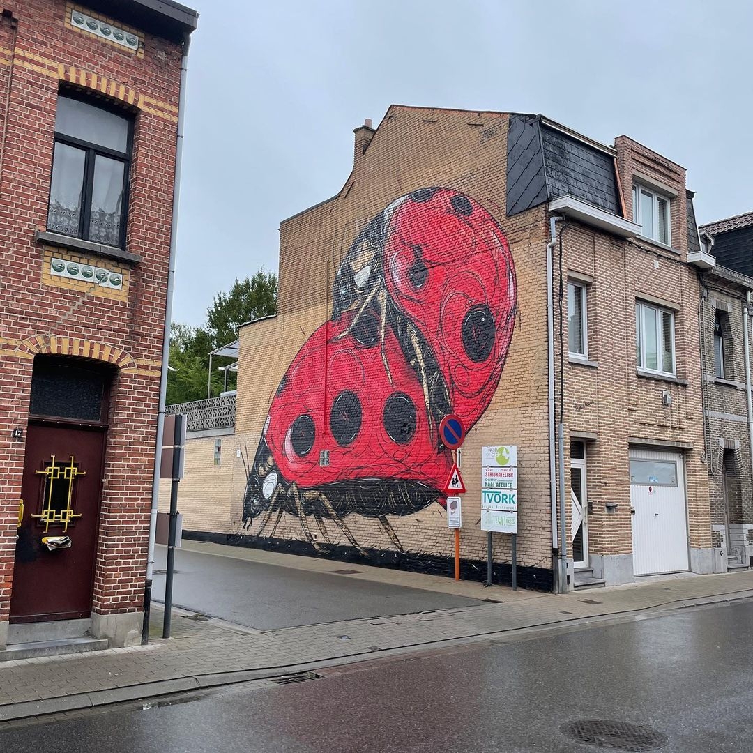 Dzia @ Dendermonde, Belgium