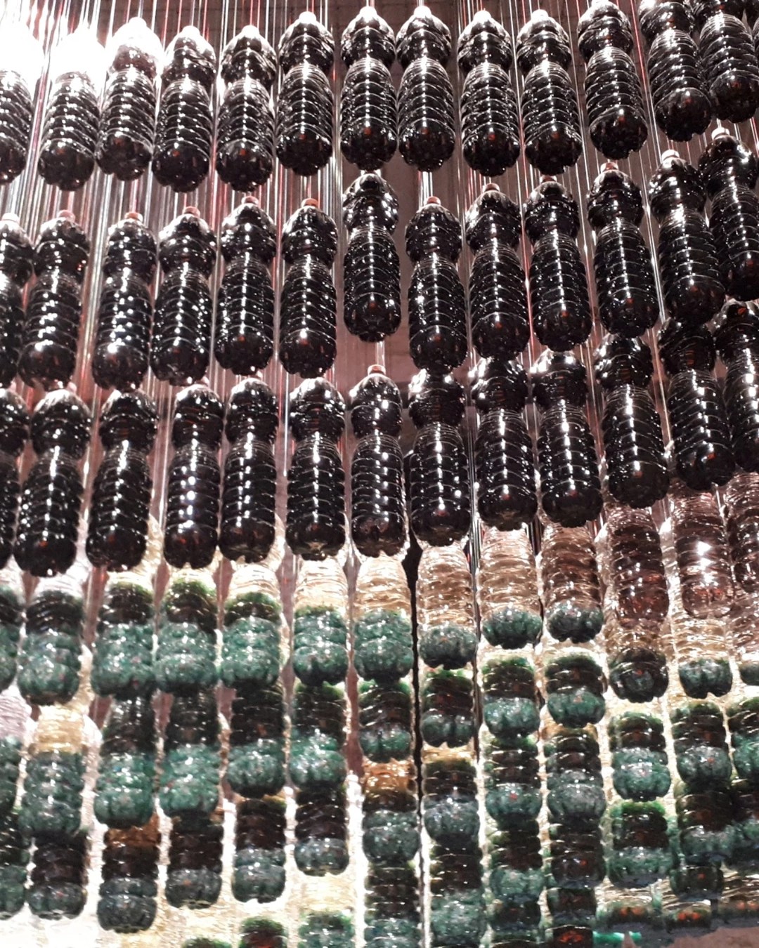 "Hacking (the resort)" di Patti Anahory e Cesar Schofield Cardoso