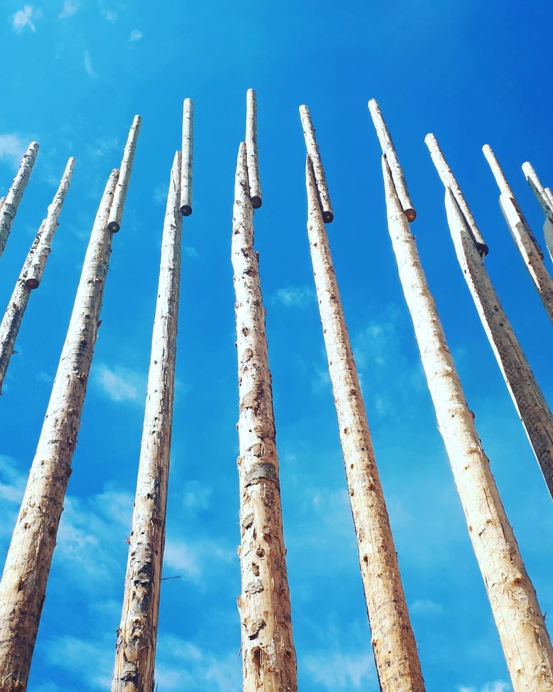 "Elemental" di Alejandro Aravena