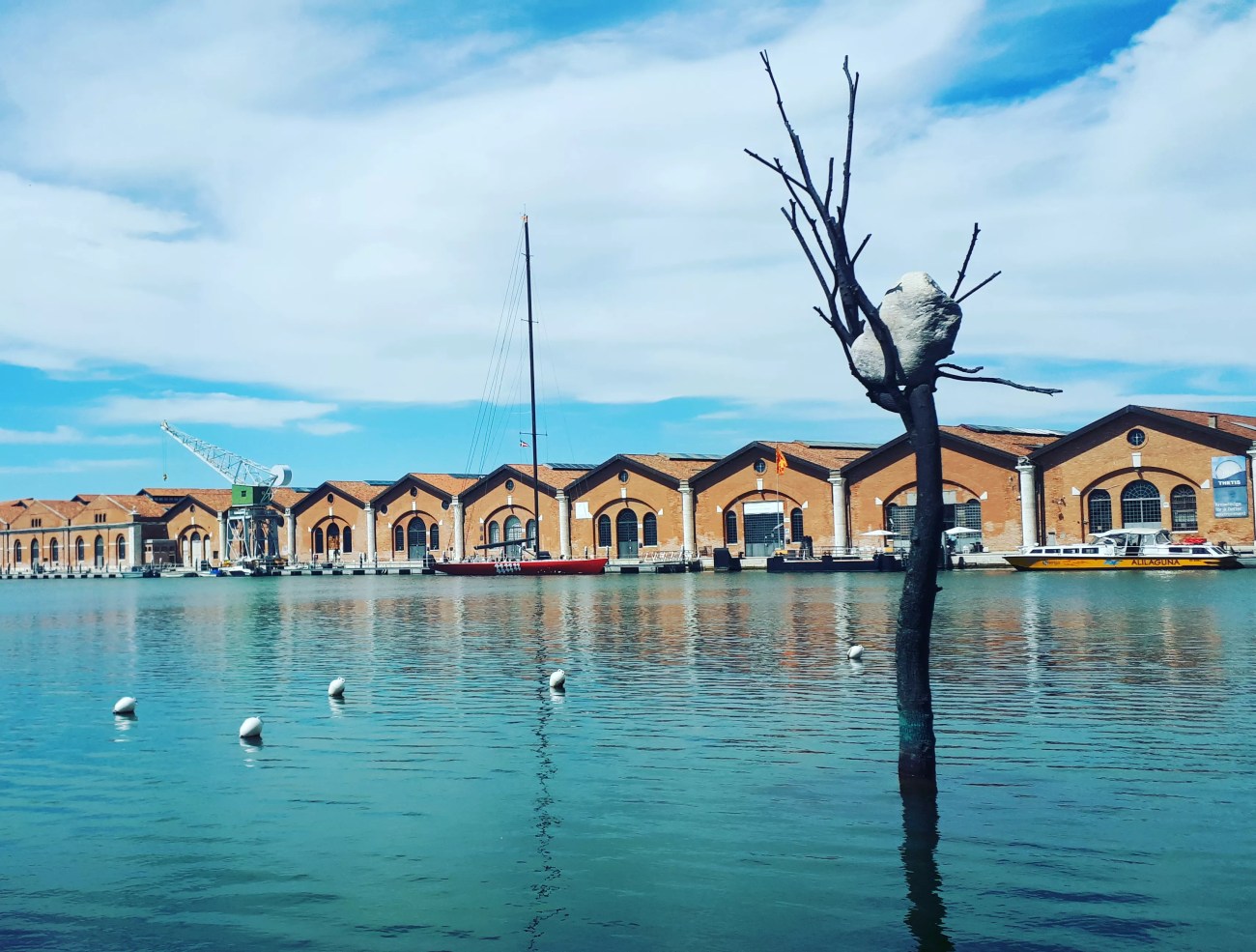 "The Listener" di Giuseppe Penone