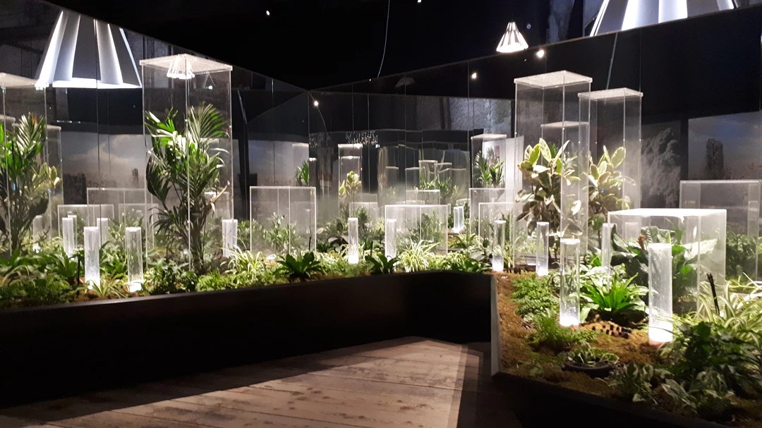 Padiglione Italia alla Biennale Architettura 2021