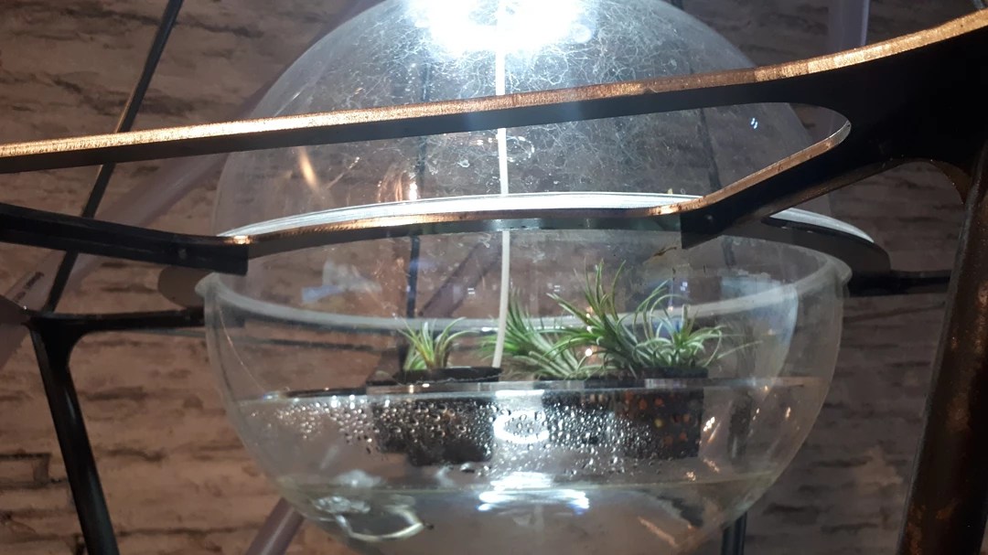 Padiglione Italia alla Biennale Architettura 2021