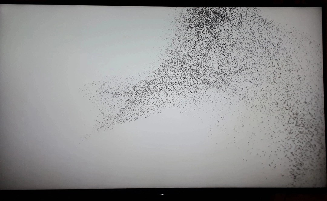 "Flocking Tejas" di Barbara Barreda e Felipe Sepulveda