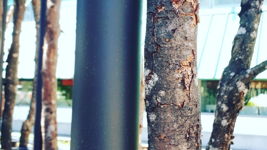 "Grancey-le-Château, A World at the Edge" di Le Consortium - Land alla Biennale Architettura 2021