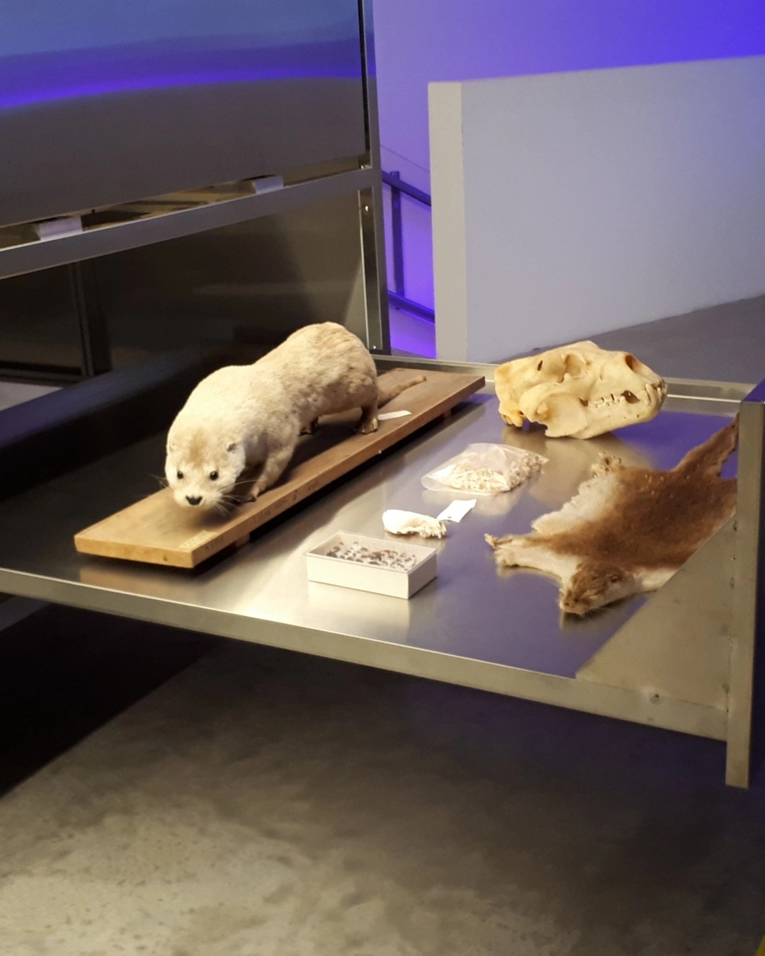 Padiglione Israele alla Biennale Architettura 2021