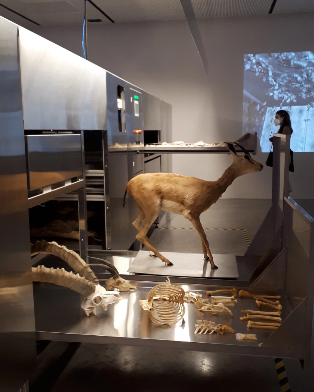 Padiglione Israele alla Biennale Architettura 2021