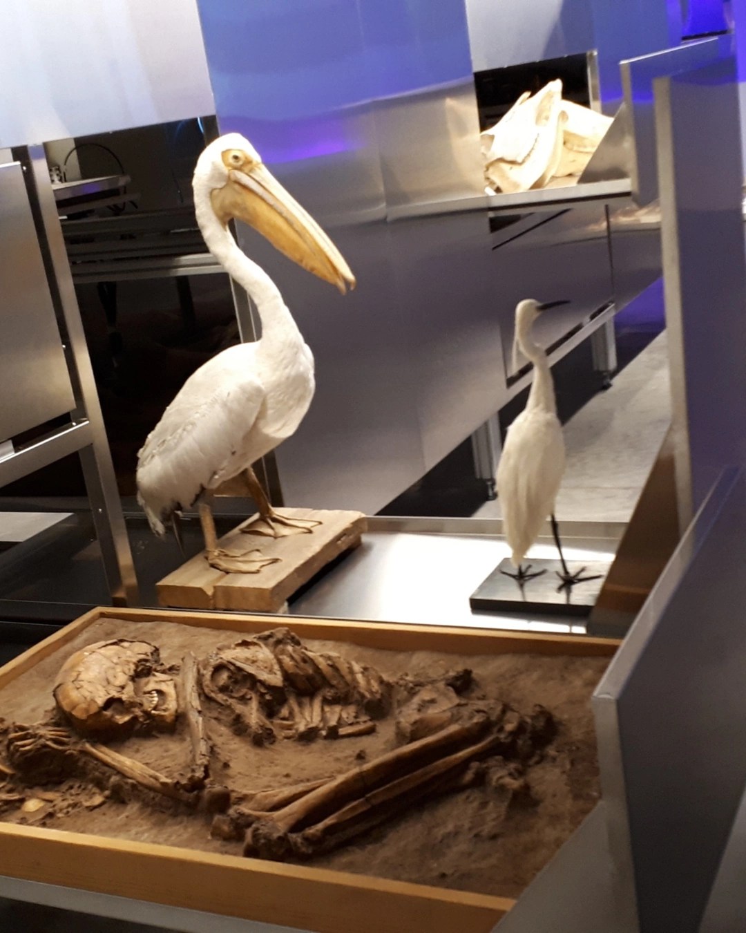 Padiglione Israele alla Biennale Architettura 2021