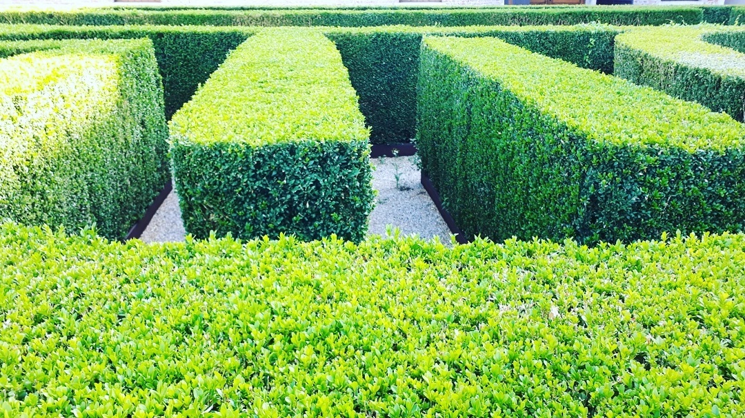 Labirinto di Borges sull'Isola di San Giorgio Maggiore
