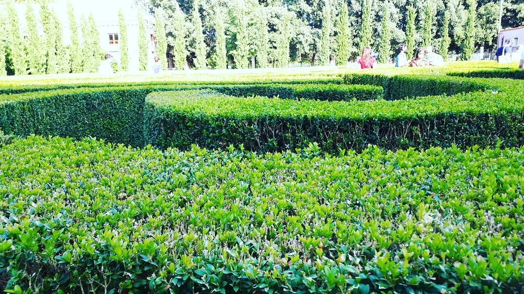 Labirinto di Borges sull'Isola di San Giorgio Maggiore