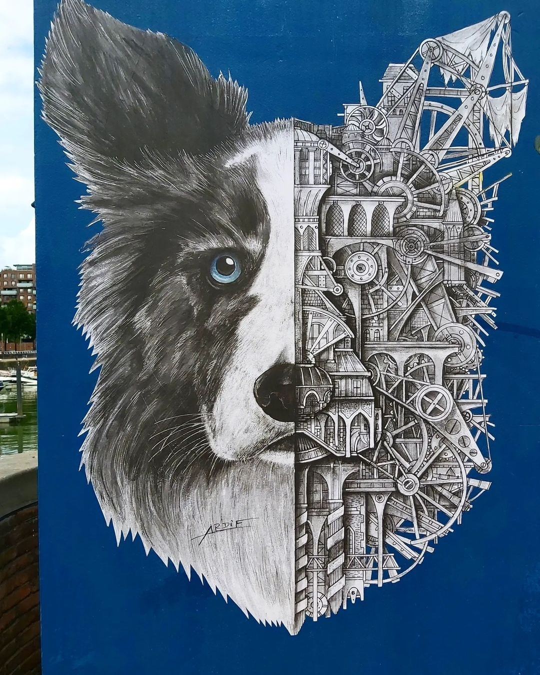 Ardif @ Rotterdam, Netherlands