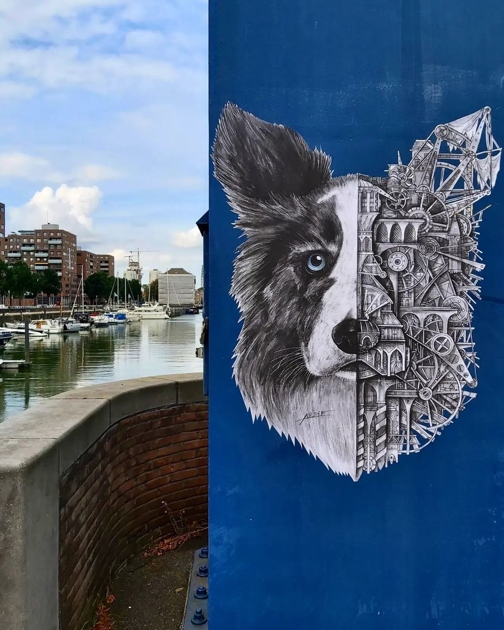 Ardif @ Rotterdam, Netherlands