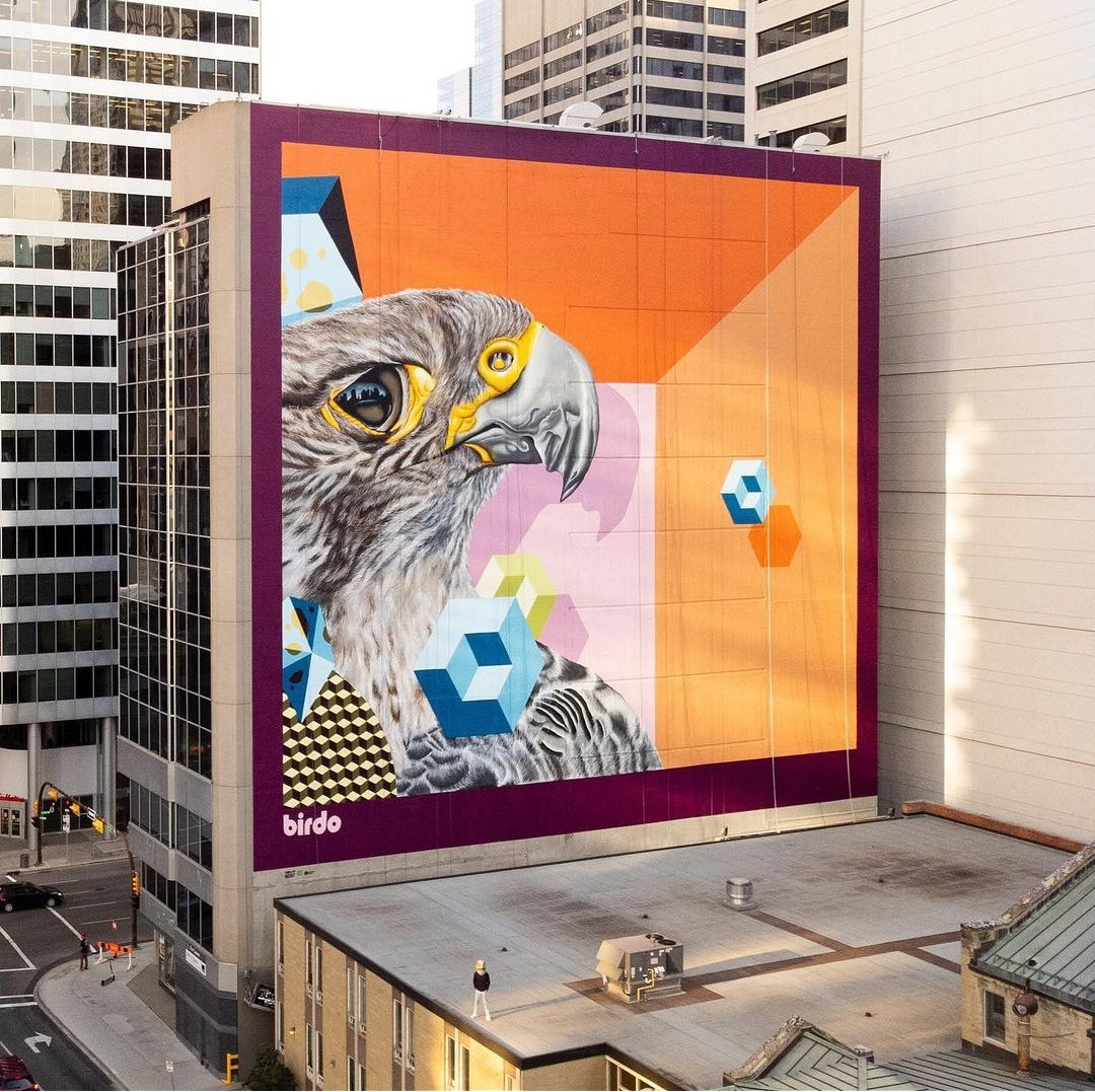 BirdO @ Calgary, Canada