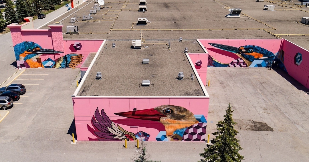 BirdO @ Vaughan, Canada