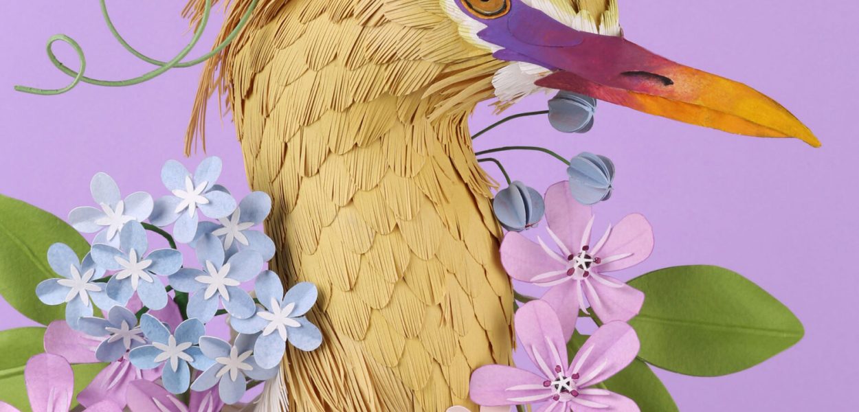 Diana Beltrán Herrera