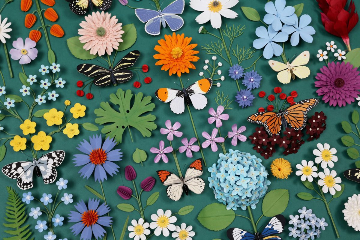 Diana Beltrán Herrera