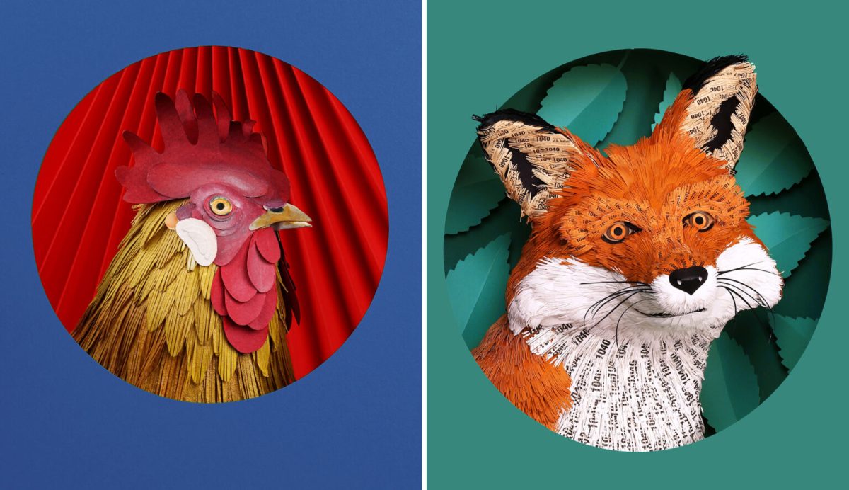 Diana Beltrán Herrera