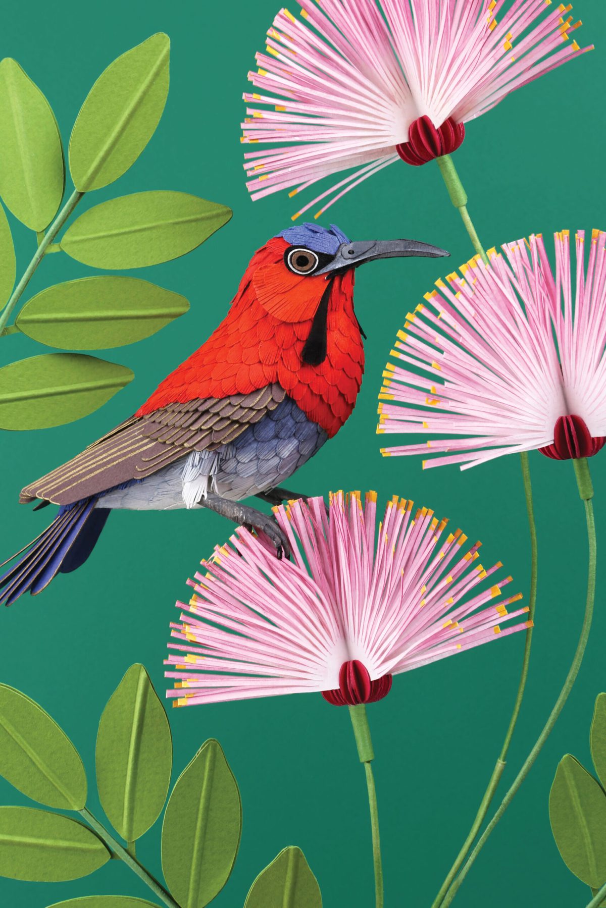 Diana Beltrán Herrera